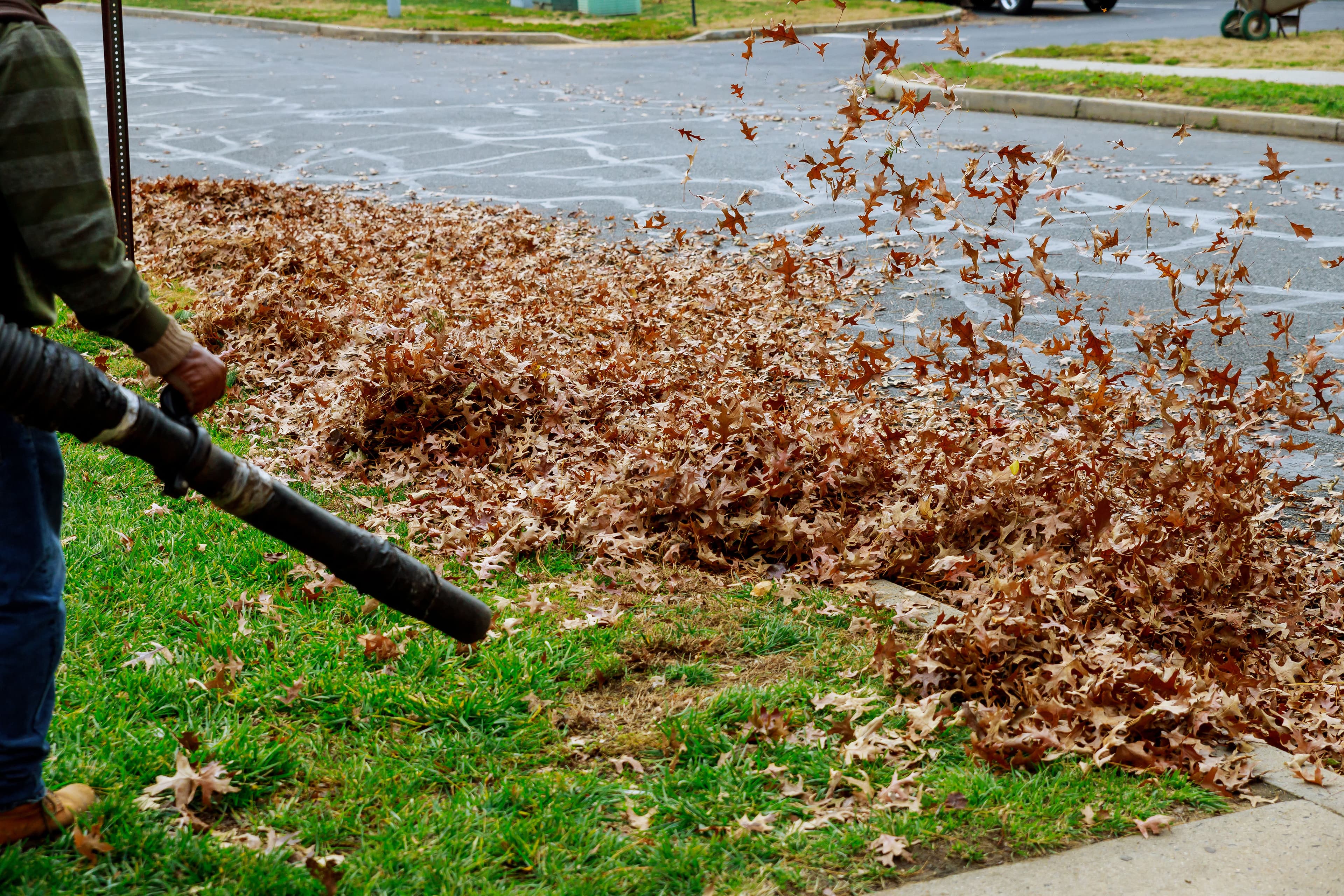 Yard Cleanups image