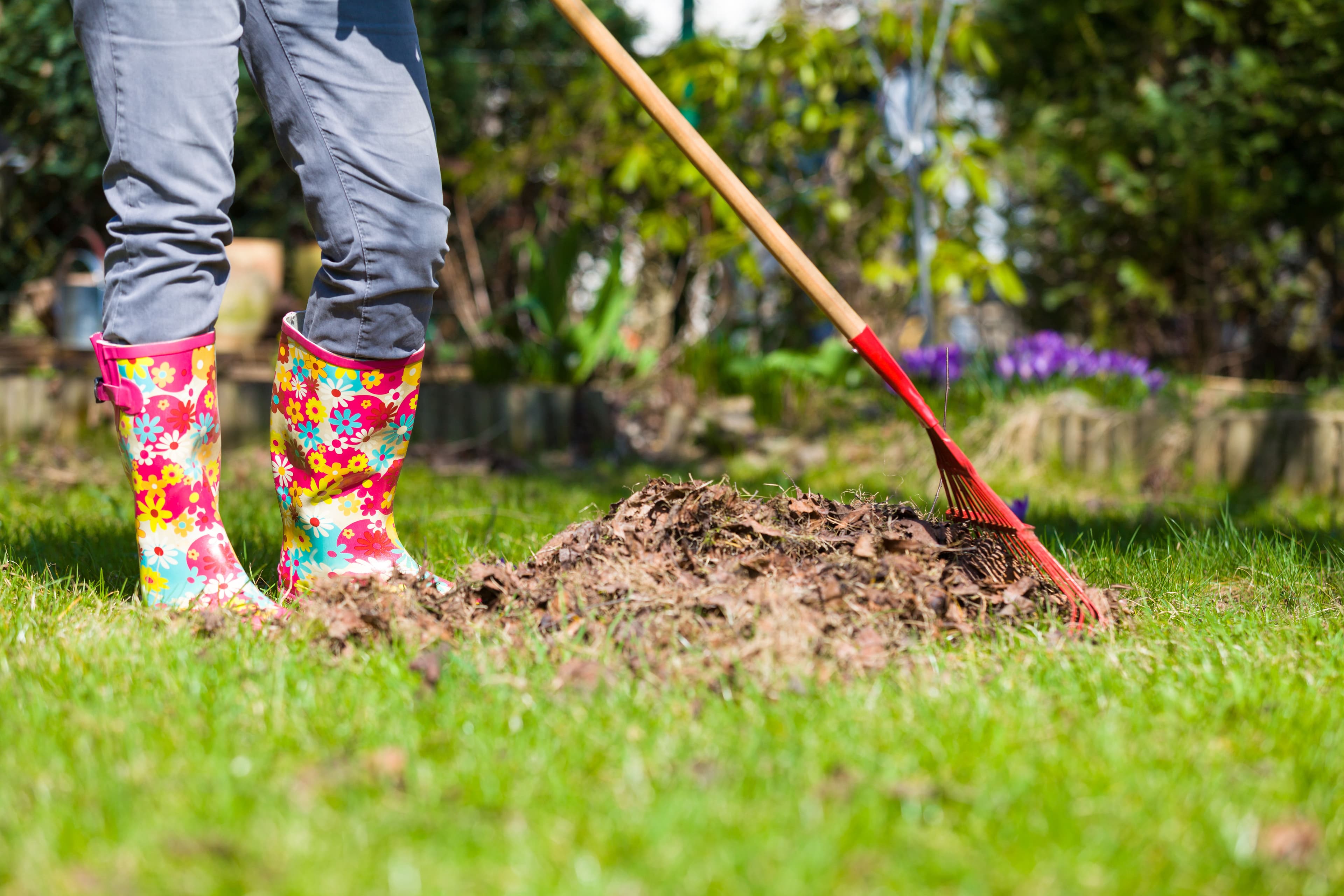 Outdoor Cleanups image