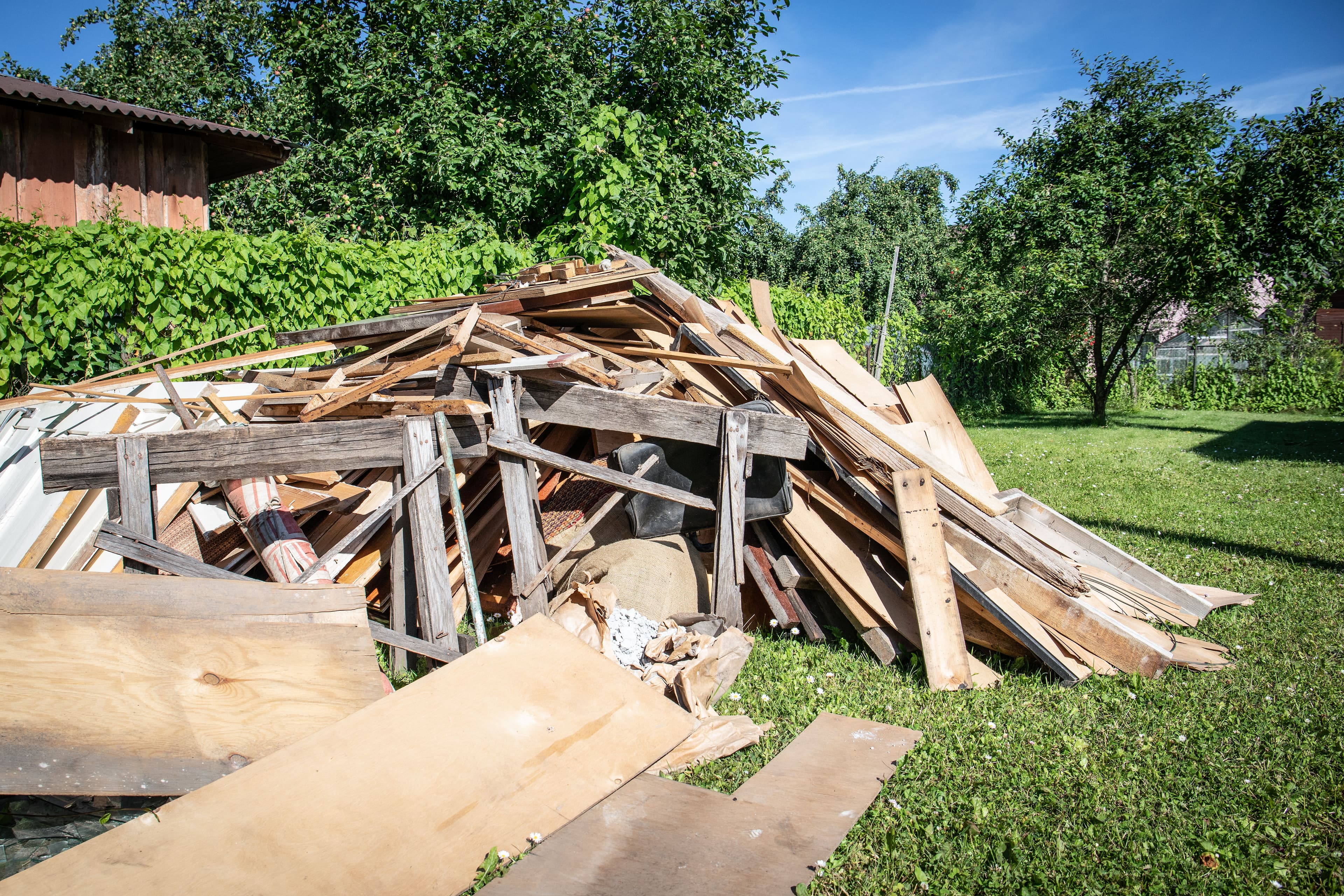 Yard Debris Brush And Storm Cleanup image