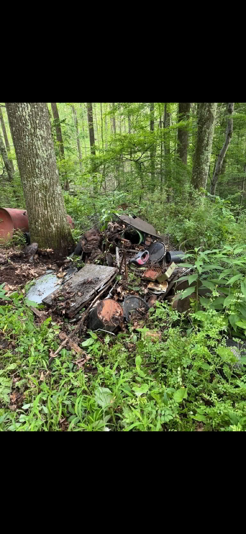 Abandoned debris and junk in a wooded area, surrounded by lush greenery and trees.